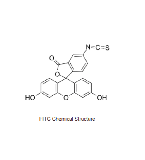 巯基-聚乙二醇2000-酮缩硫醇-异硫氰酸荧光素 SH-PEG2000-TK-FITC的性质及特点