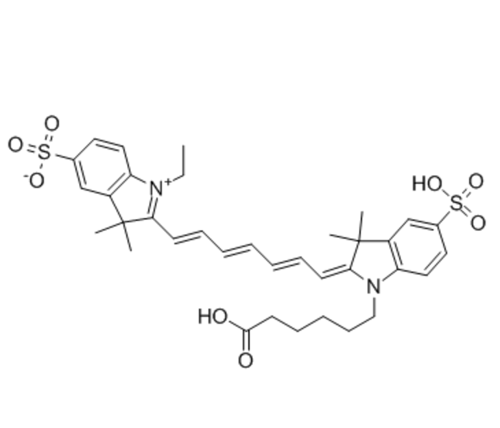 介孔二氧化硅表面修饰CY7和NGR多肽，包在化合物erastin 的生物性质