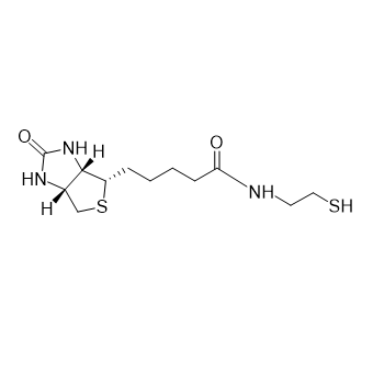 Biotin-SH,生物素-巯基