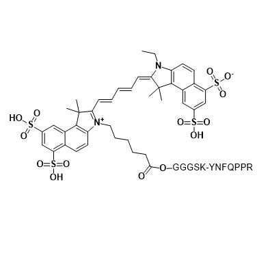 CY5.5-GGGSK-YNFQPPR,花菁染料Cy5.5-YNFQPPR-GGGSK多肽