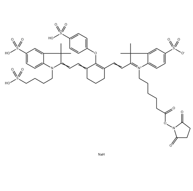 IRDye 800CW-NHS,IRDye 800CW-N-羟基琥珀酰亚胺酯