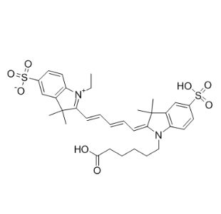 Cy5-NPs,五甲川花菁染料-纳米颗粒