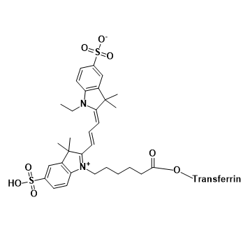 CY3-TF,三甲川花菁染料-转铁蛋白