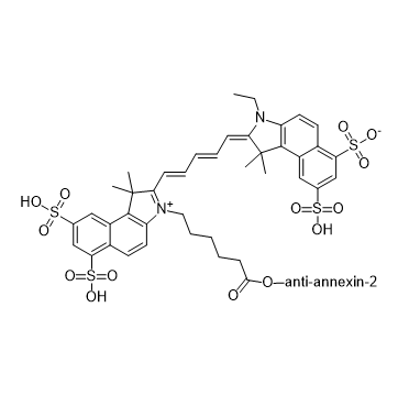 cy5.5-anti-annexin-2,花菁染料CY5.5-抗膜粘连蛋白Ⅱ抗体