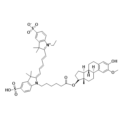CY5-（2-MeOE2）,五甲川花菁染料-2-甲氧雌二醇