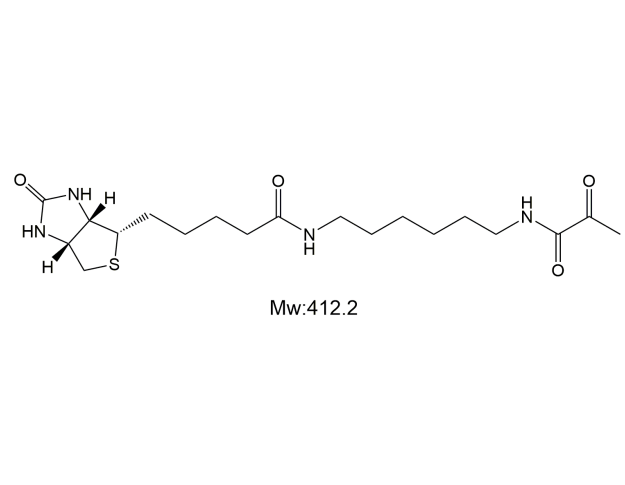 Biotin-Pyruvic acid,生物素-丙酮酸