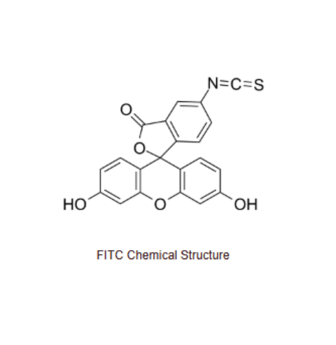 异硫氰酸荧光素-R11-生物素 FITC-R11-K(BIOTIN)的性质及特点