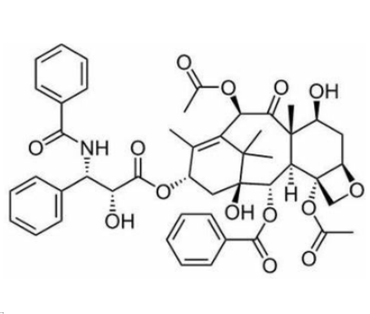 albumin-PTX，白蛋白-紫杉醇