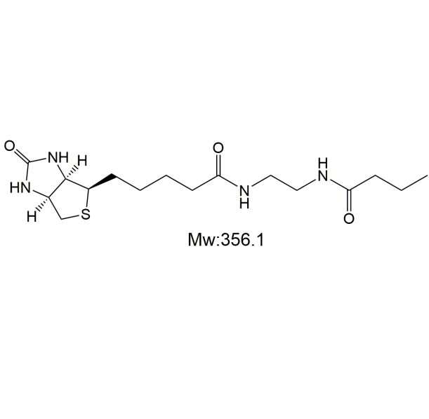 Biotin-BA,生物素-丁酸