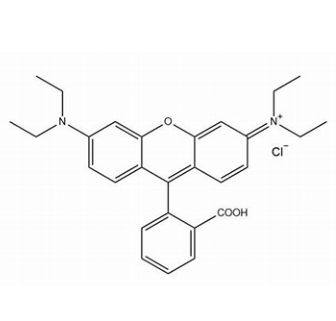 RB-Pro Rhodamine B-Protein 罗丹明B-蛋白的制备方法