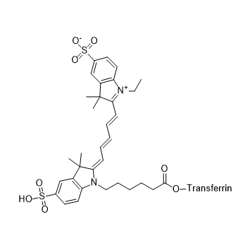 CY5-TF,五甲川花菁染料-转铁蛋白