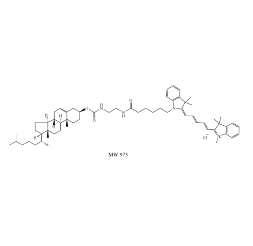 菁类染料CY5-胆固醇 CY5-胆固醇 Cy5-Cholesterol的功能简介