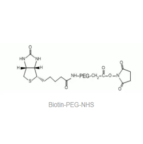 Biotin-PEG-NHS,生物素-聚乙二醇-活性酯