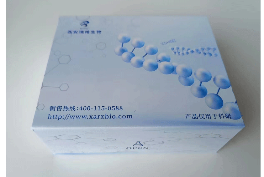 前列环素PGI2检测试剂盒的性质及特点
