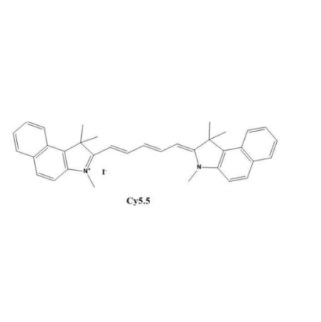 YNFQPPR-GGGSK-CY5.5 YNFQPPR肽 -GGGSK肽 -菁染料 5.5 的制备方法