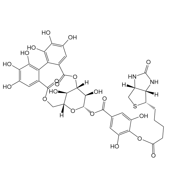 BIO-corilagin,生物素-柯里拉京