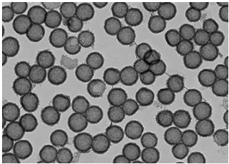 水溶性二氧化锰纳米颗粒（粒径5nm）的性质及特点