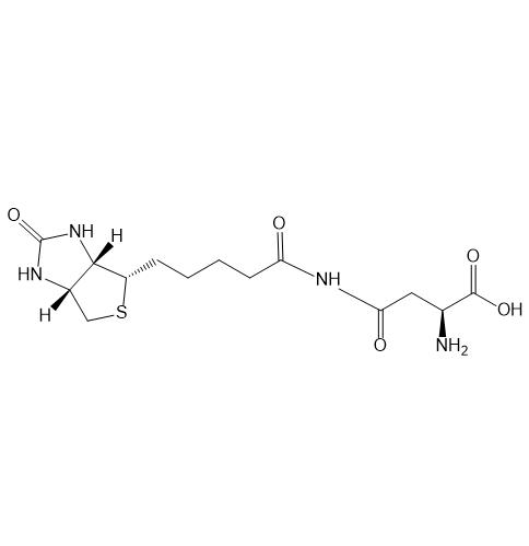 Bio-Asn,生物素-天冬酰胺
