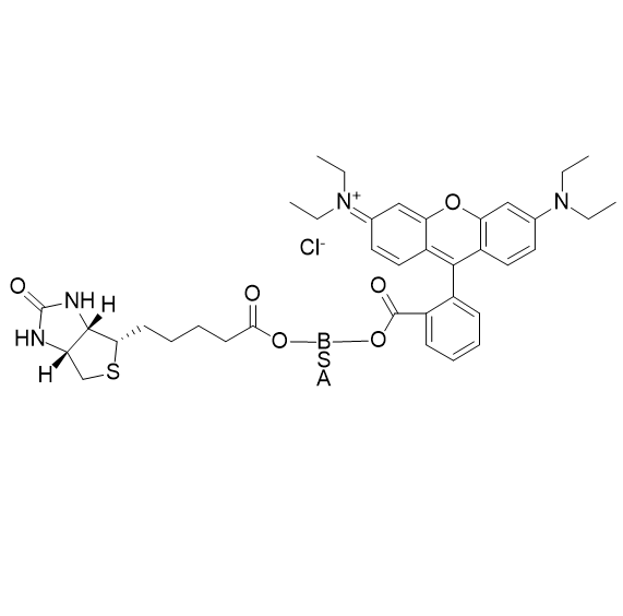 BIOTIN-BSA-Rb,生物素-牛血清白蛋白-罗丹明 B