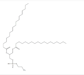 DSPE-PEG2K-MPfRwFKPV的优点  