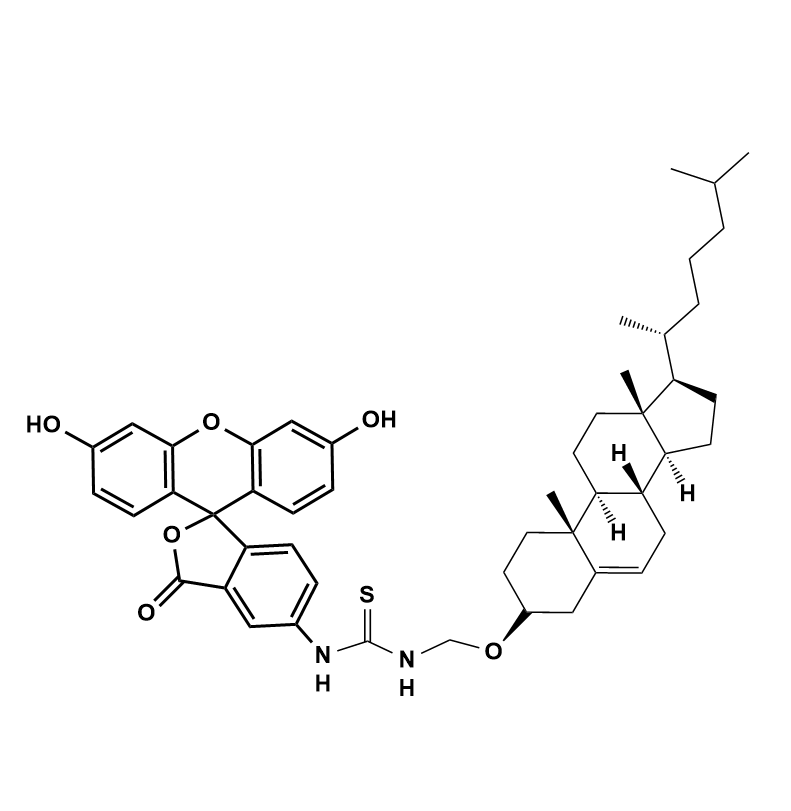 FITC-Cholesterol,异硫氰基荧光素-胆固醇