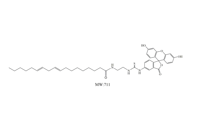 FITC-linoleic acid,异硫氰酸荧光素-亚油酸