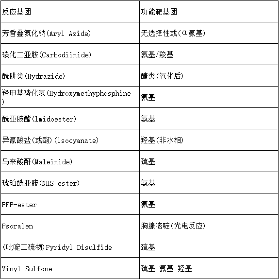 蛋白交联剂