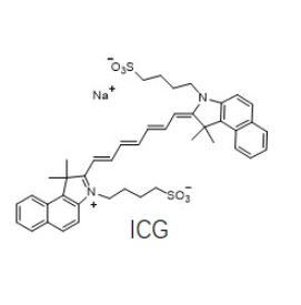 P5 X-F-PEG5-CH2CH2CO-CGNSNPKSC-ICG的制备方法