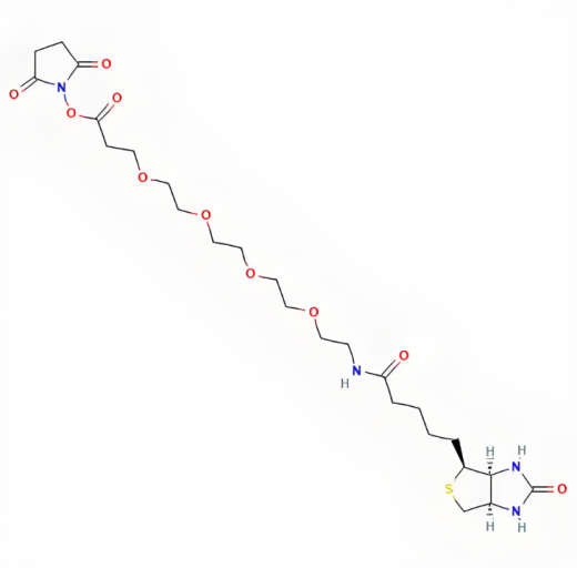 Biotin-PEG4-NHS,生物素-四聚乙二醇-N-羟基琥珀酰亚胺酯