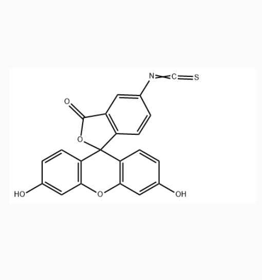 异硫氰酸荧光素标记聚乳酸微球 100nm FITC-PLA 100nm的特性