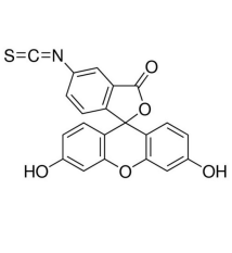 FITC-PEG2K-YPYDVPDYA-Lys-biotin的性质及特点