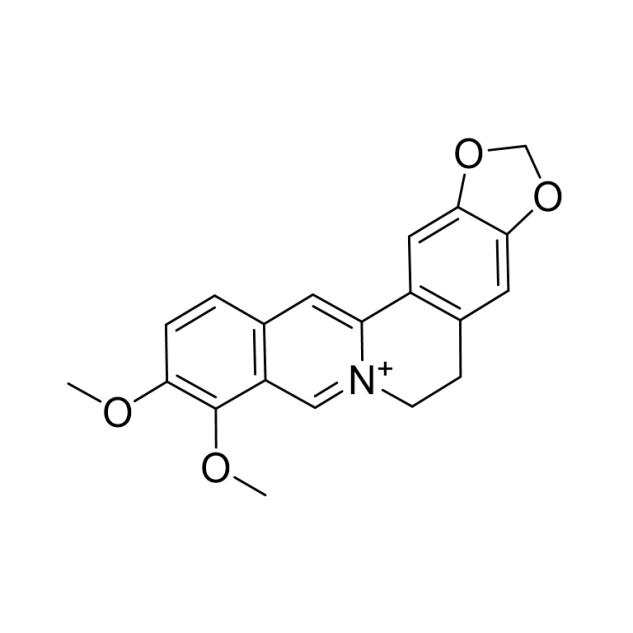 berberin@LNP-cRGD,小檗碱-脂质纳米颗粒-cRGD