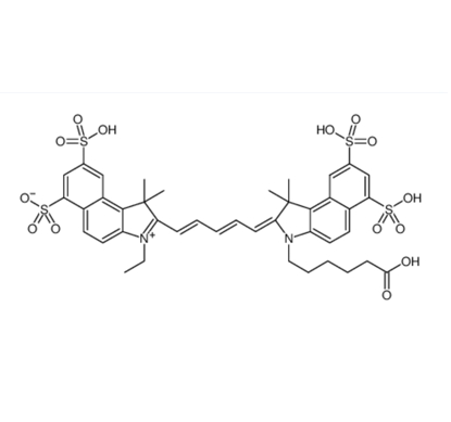 四氧化三铁（10nm)-CY5.5-mIgG的性能 