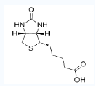 biotin-Mito-apocynin (C11)的性能  