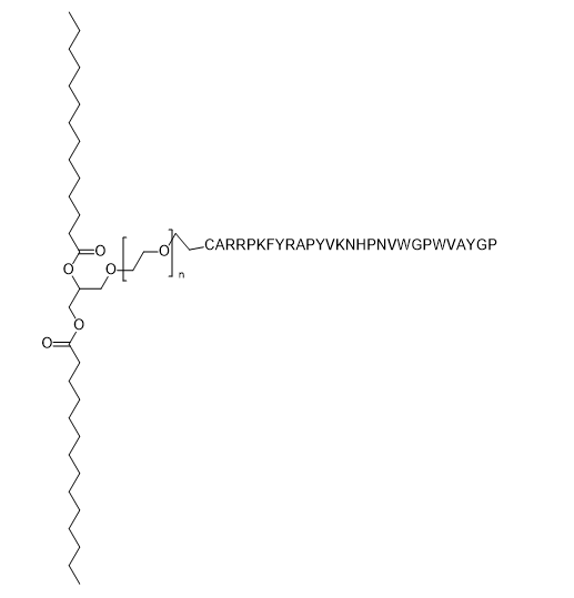 DMG-PEG-CARRPKFYRAPYVKNHPNVWGPWVAYGP,二肉豆蔻酰-sn-甘油-聚乙二醇-多肽