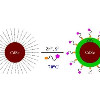 Water-soluble CdSe/ZnS QDs 水溶性羧基化CdSe/ZnS 量子点 620nm的发光原理