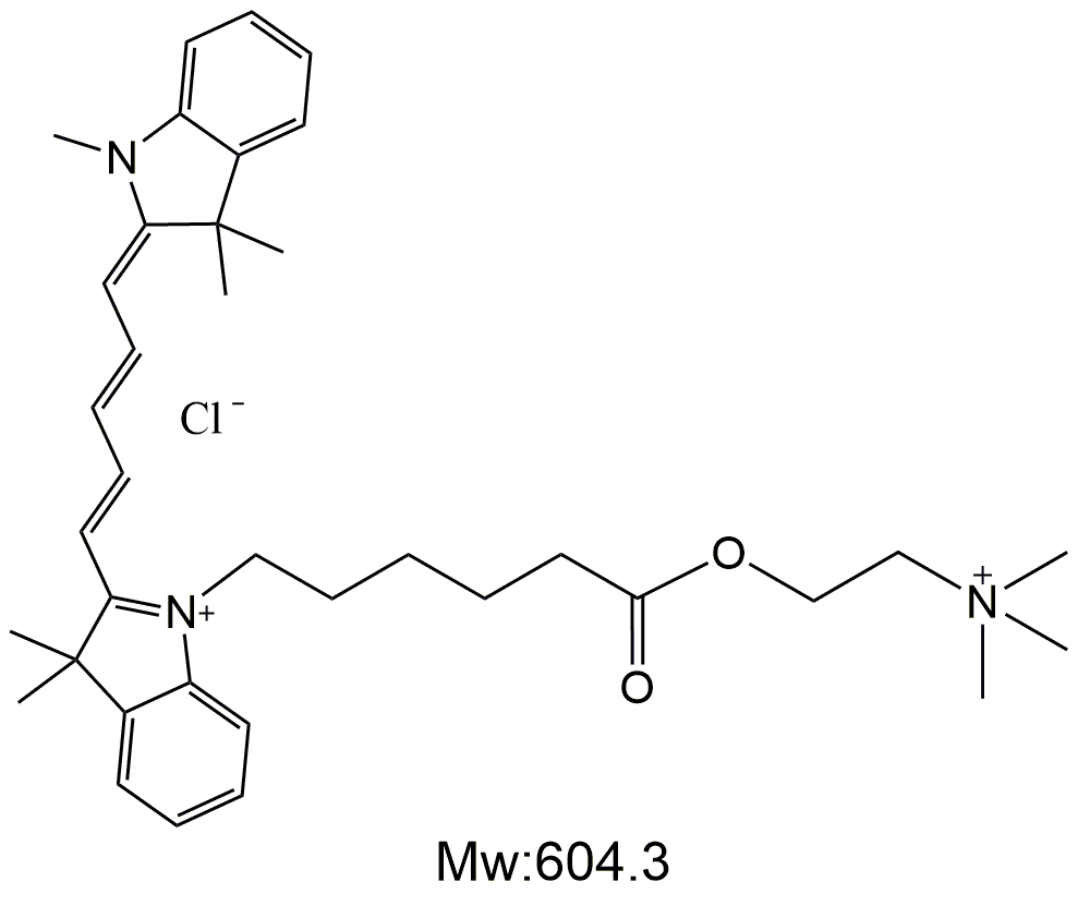 Cy5- Choline chloride,五甲川花菁染料-氯化胆碱