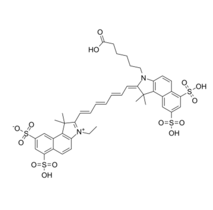 CY7.5花青素CY7.5的应用  