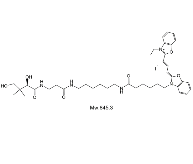 Cy2-D-PANTOTHENIC ACID,菁染料Cy2-D-泛酸
