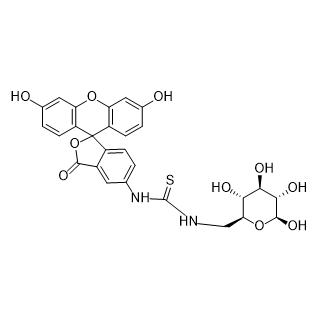 FITC-GOx,异硫氰酸荧光素-葡萄糖氧化酶