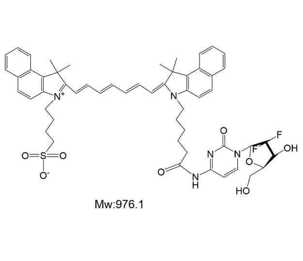 ICG-Gemcitabine,吲哚菁绿-吉西他滨