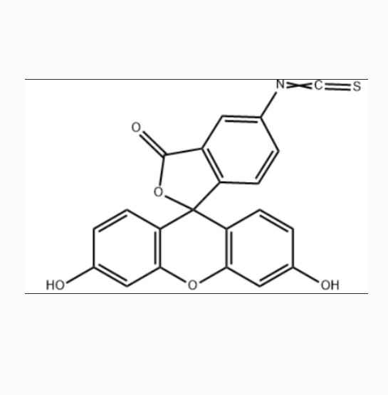 聚乳酸-羟基乙酸共聚物50K-异硫氰酸荧光素的特性
