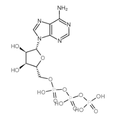 Cy5-辅酶A Cy5-Coenzyme A 五甲川花菁染料-辅酶A的性质及特点