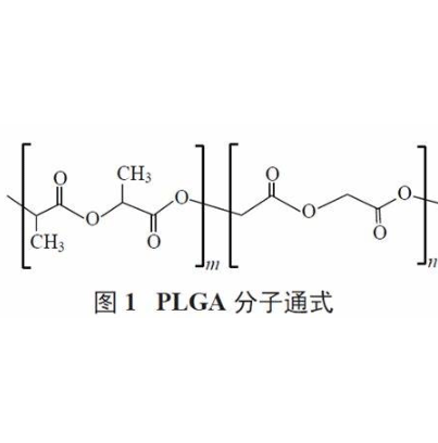 mPEG2000-TK-PLGA5000的性质及特点