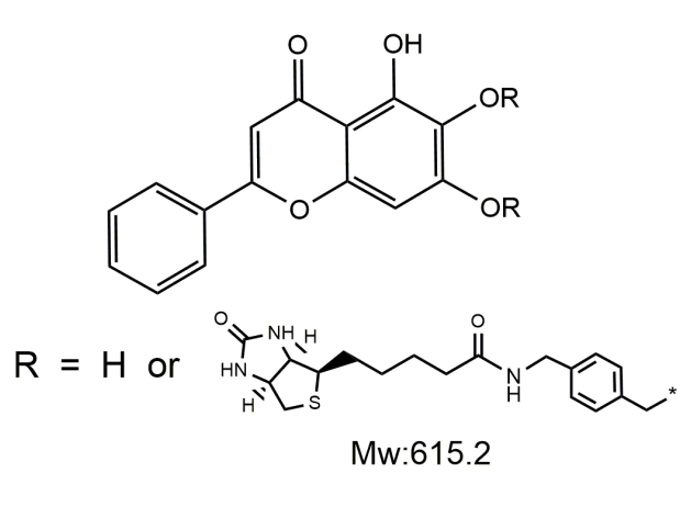 Bio-Baicalin,生物素-黄芩苷