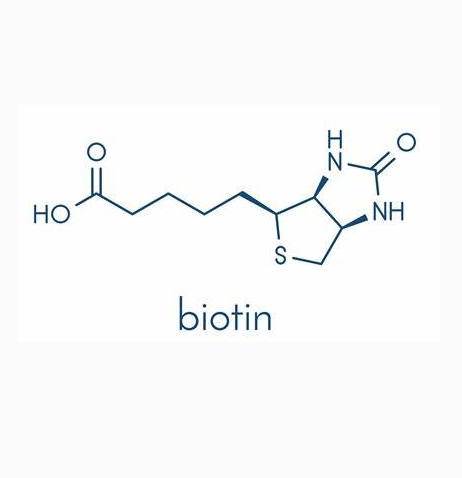 聚己内酯 2000-聚乙二醇 2000-生物素共聚物  PCL2000-PEG2000-biotin的特性