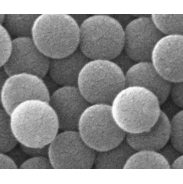 氨基聚苯乙烯微球90-110um  Amino-PS microspheres 的制备方法