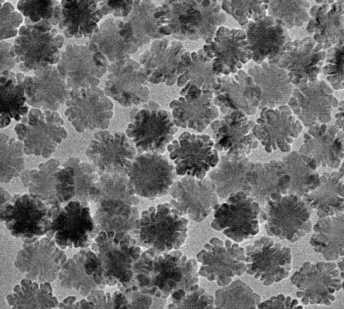 PAA-Up-conversion nanoparticles,聚丙烯酸包裹上转换纳米颗粒