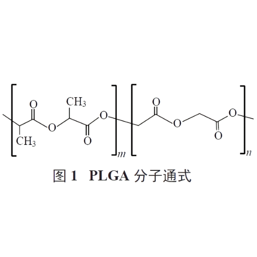 PLGA15000-SE-SE-PEG5000-RVG29的性质及特点