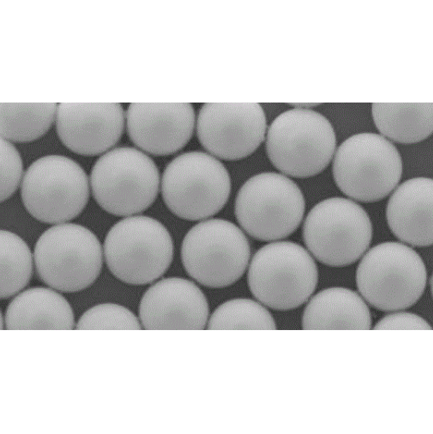 NH2-PS Microspheres 氨基化PS 微球50-70um的生物领域应用